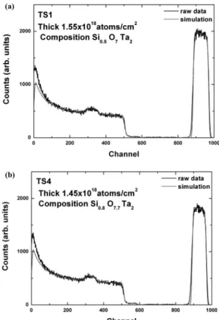 Fig. 5 에 표시하였다 . TS1 의 영역에 대해서  bulk density