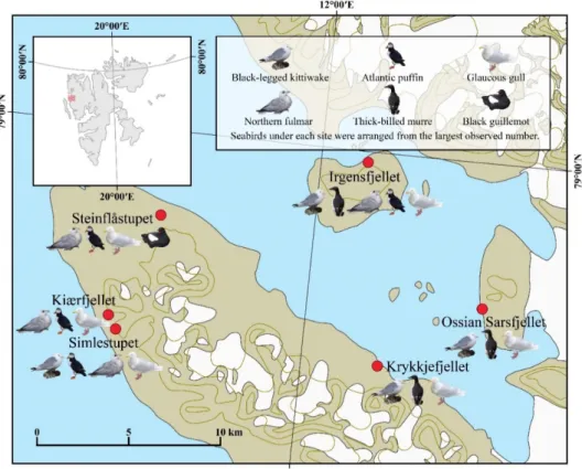 Figure 9. The map of seabird species observed by ground-based and RPAS-based survey in  the six study sites.