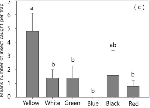 Figure 12. Number of male Synanthedon bicingulata’s caught at six different color traps