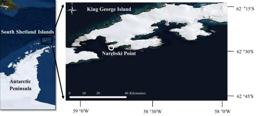 Figure 1. Location and map of the study area (image source: Esri, 2012)