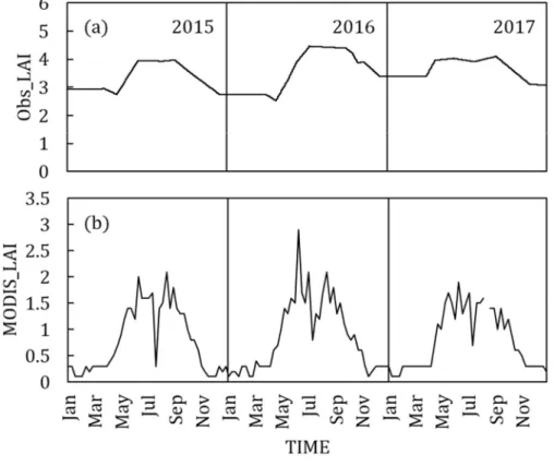 Figure 5. (a) Observed LAI using plant canopy analyzer(LI-2200, LI-COR, Inc., U.S.A.) at TCK and MODIS LAI at Mt