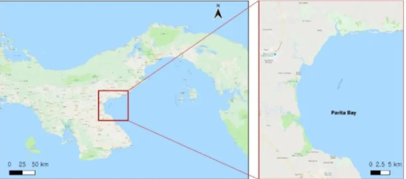 Figure 1. Location of Study Area in Parita Bay, Panama. Source: google maps. 