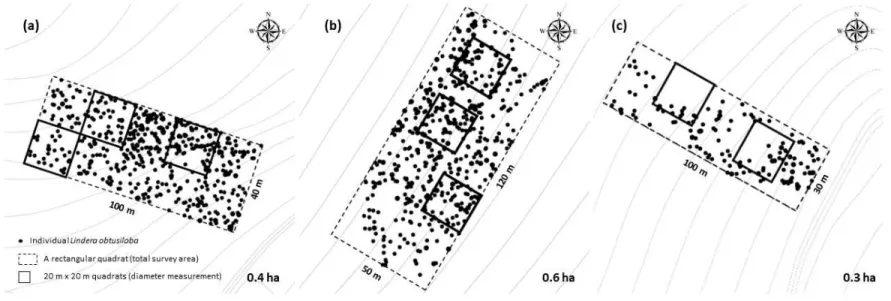 Figure 4. Locations of plots of each study site, 20 m x 20 m subplot for diameter measurement within a plot and individual L