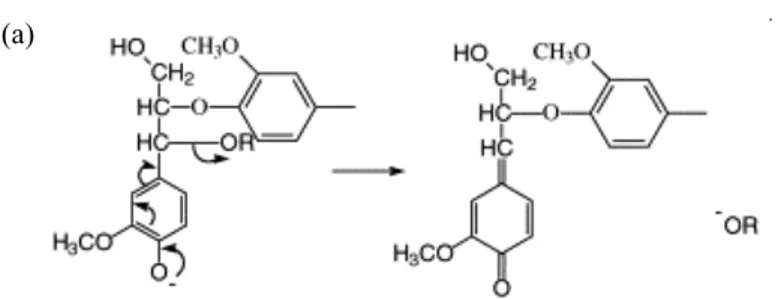 Figure 1. Lignin degradation mechanism during kraft pulping process. (a) is  cleavage of  α-aryl ether linkage in lignin and (b) is cleavage of β-aryl ether  linkage in lignin (Chakar &amp; Ragauskas, 2004)