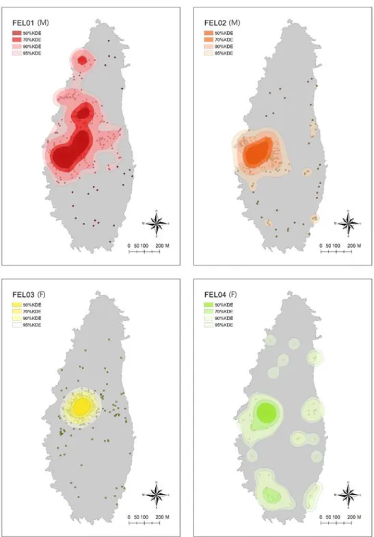 Figure 5. Fixed kernel home ranges of free-roaming domestic cats  on Mara Island, from April to July in 2018 