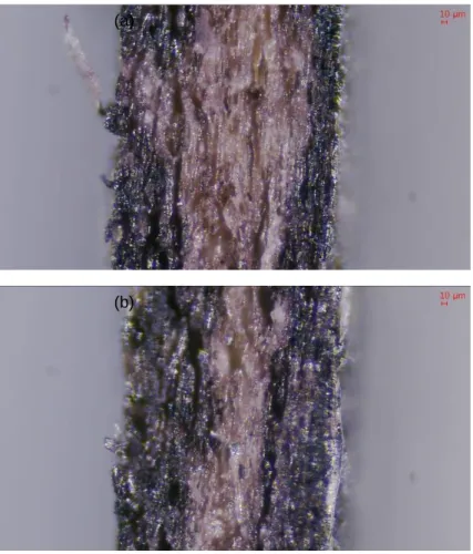 Fig. 2-15. Microscopic images obtained from the cross-section of papers sized  with only oxidized starch (a) and oxidized starch containing SP-M latex (b)