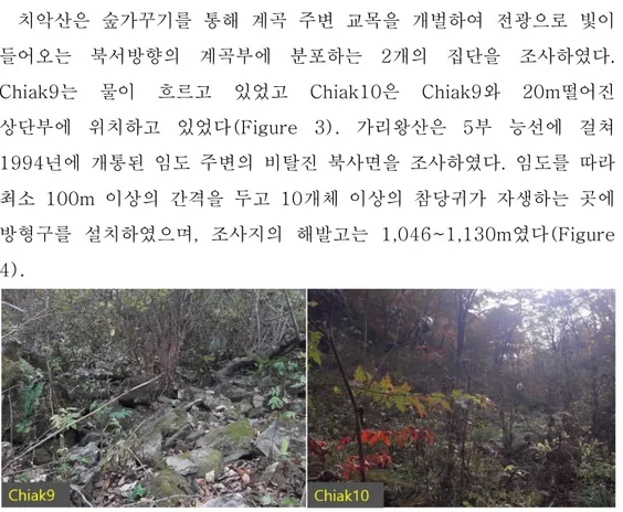 Figure 3. Chiak9~10 on October 24, 2017 on Mt. Chiak, Gangwon-do, Korea 