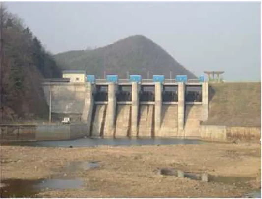 Fig.  4.11 Type  of  Idong  reservoir  Spillway Irrigated  area  (km 2 ) Watershed area (km 2 ) Full  water area(km2) Total  storage(103m3 ) Effective storage(103m3) Dam  height(m) Length(m) 17.90 95.53 3.05 20,949 17,200 17.5 647