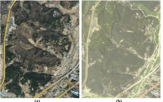 Figure 8. 흥해읍 대련리 인근 산 (a) 위성 사진 (https://map.naver.com/)  (b) 지질도 (한국지질자원연구원, https://mgeo.kigam.re.kr)