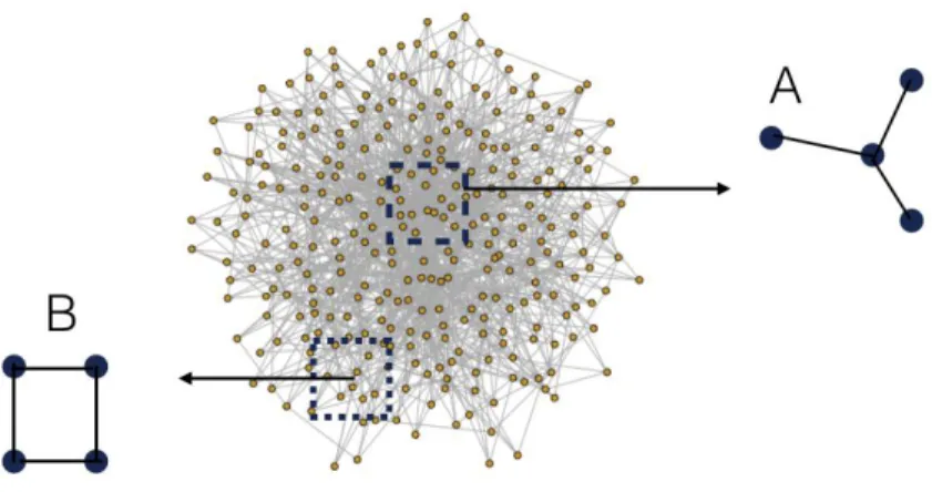Fig.  3.7 Determinants  of  network  structure