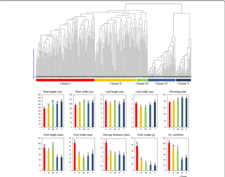 Fig. 4 Comparison of phenotypic measurements among five clusters in CC240. Dendrogram was generated by hierarchical clustering (UPGMA) based on genetic dissimilarity