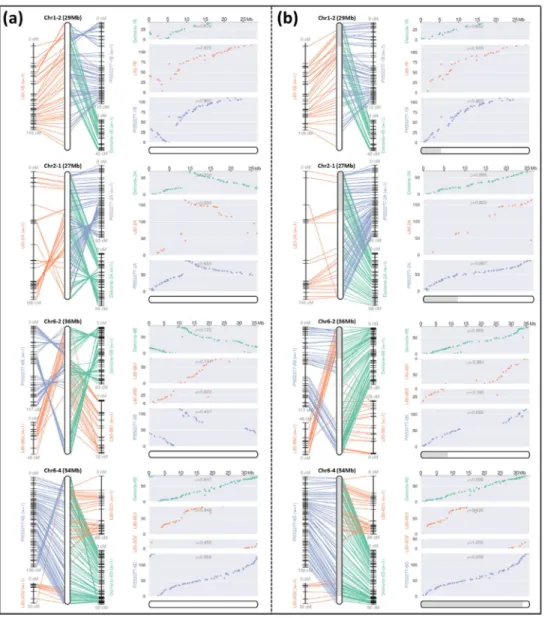 Figure 4. Four chromosome reassembly of ‘Camarosa’ reference genome.