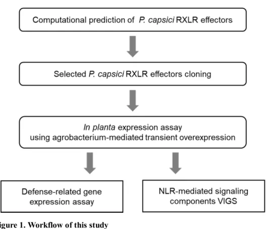 Figure 1. Workflow of this study