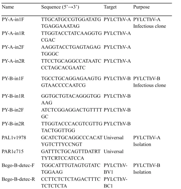 Table 1. List of primers used for the construction of an infectious PYLCThV clone 