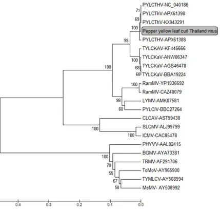 Figure  4.  Phylogenetic  tree  based  on  begomovirus  DNA-B  BC1  region.  The 
