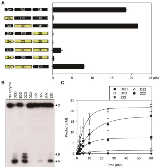 Figure 1-7. The in vitro 5mC excision activity of DME-DML2 chimeric  proteins. 