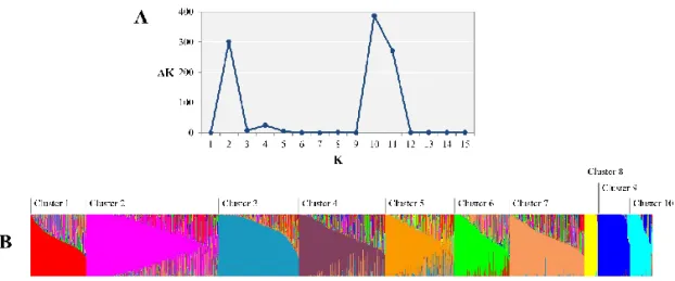 Figure I-2. Population structure of the Capsicum germplasm collection.    A: ΔK reached its maximum value when K=10 following the ad-hoc method