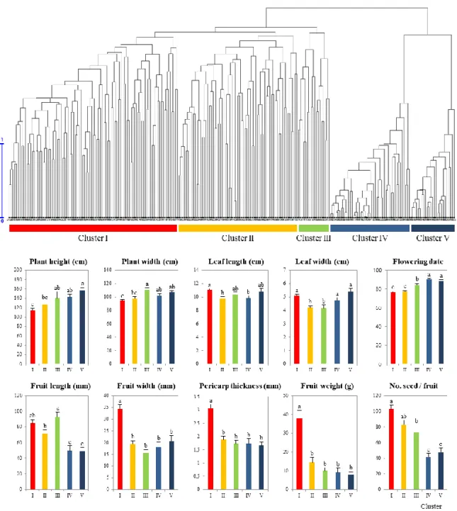 Figure I-6. Comparison of phenotypic measurements among five clusters in CC240. 