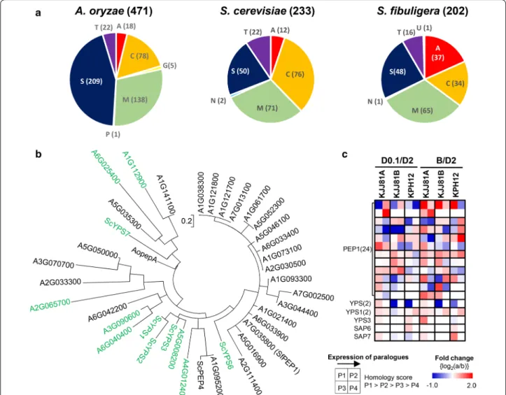 Fig. 6  Analysis of putative protease genes in S. fibuligera. a Pie charts of the putative protease family of A