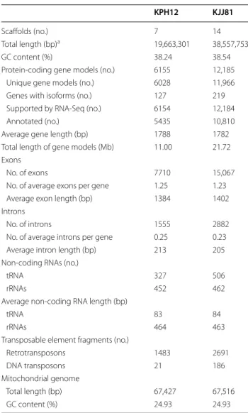 Table 1  Summary  of  the  S. fibuligera KPH12 and  KJJ81  nuclear genome assembly and annotation