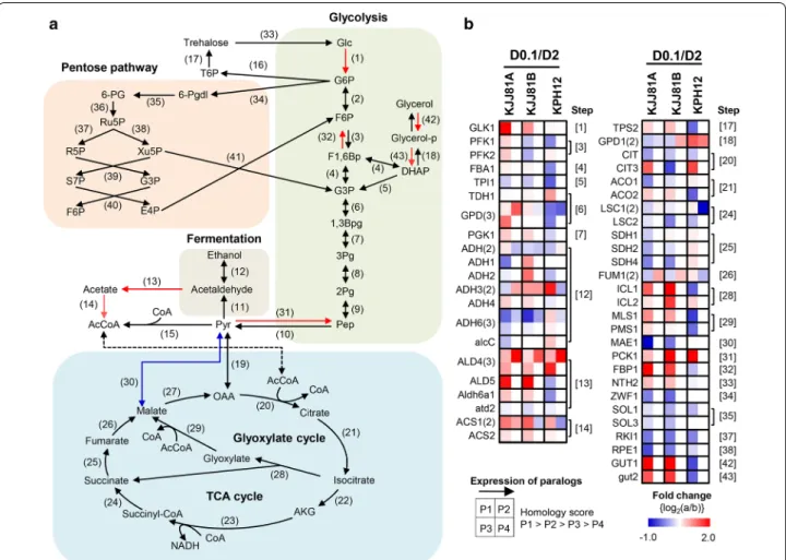 Fig. 3  Reconstruction of the S. fibuligera carbon metabolic pathway mapped with transcriptome data