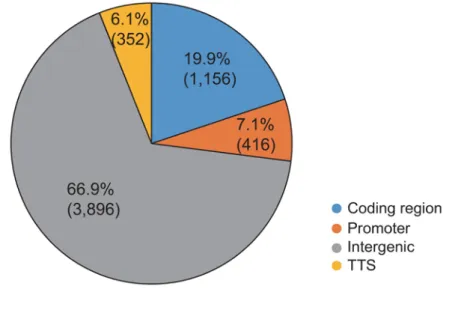 Figure  3.  The distribution of H3K9me2 within different sites of the  xBrassicoraphanus genome