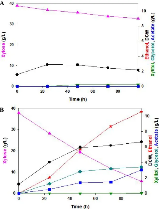 Figure  10.  Microaerobic  batch  fermentation  profiles  of  S.  cerevisiae  DX23/pRS403  (A)  and  S