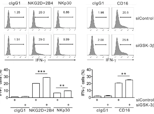Fig. 27. GSK-3β knockdown enhances IFN-γ expression of primary NK cells  induced by both ITAM- and non-ITAM-dependent receptors