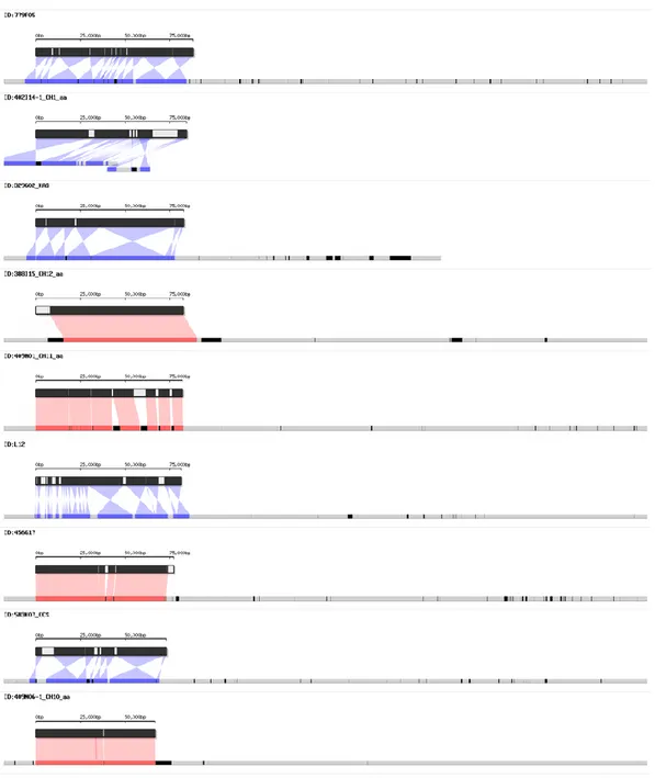 Figure 3. Detailed visualization of validation of CM334 genome assembly against 27 BAC 