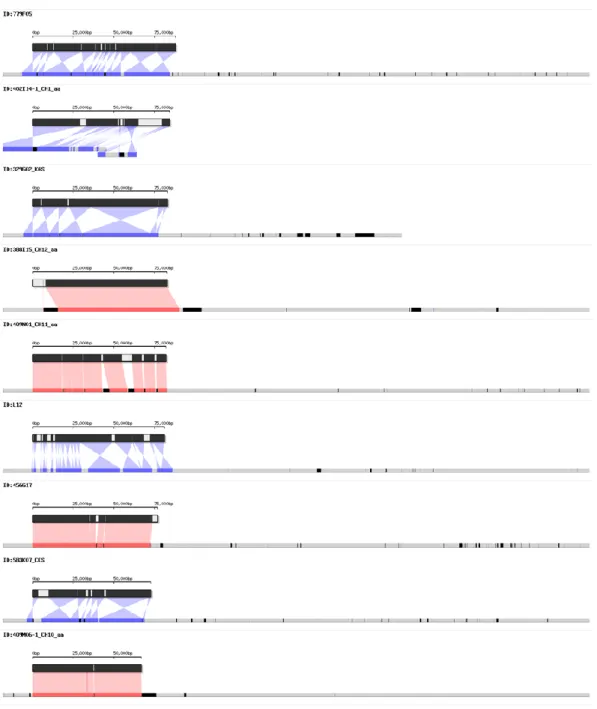 Figure 3. Detailed visualization of validation of CM334 genome assembly against 27 BAC 