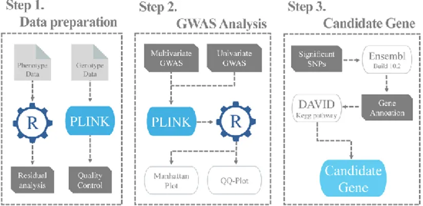 Figure 2-1. Flow chart for multivariate genome-wide association studies. 