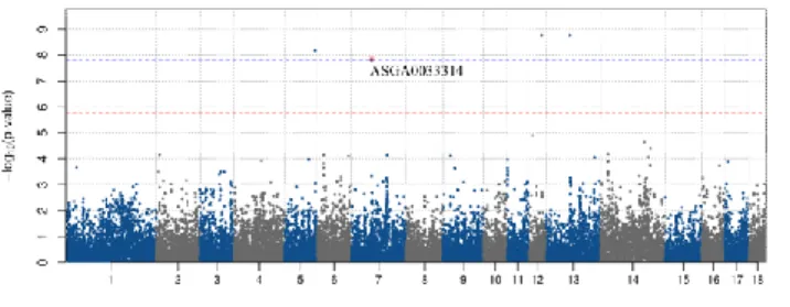 Figure 2-3. The Manhattan plot (left) and QQ-plot (right) of SNPs resulting  from MV-GWAS with CieL and Heat-loss