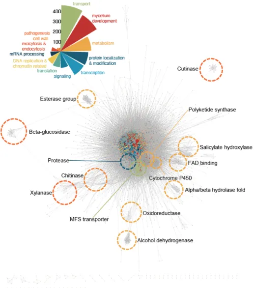 Figure 2. Global view of high-confidence network of M. oryzae proteins. Interactions  of MagNet predicted in three or more resources were grouped as a high-confidence network