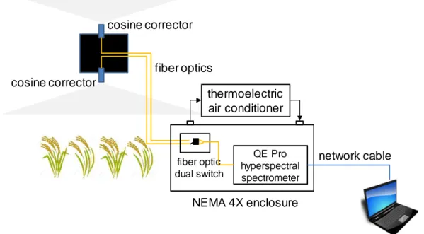 Figure 2. Schematic of the canopy SiF observation system. 