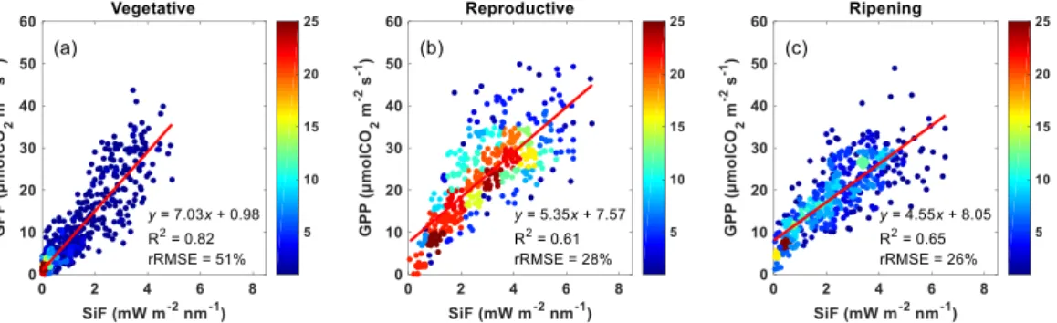 Figure  6.  SiF-GPP  relationships  for  the  vegetative,  reproductive  and  ripening  growth stages of rice