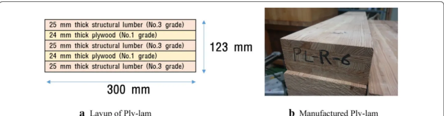 Fig. 1  Layup and Ply‑lam