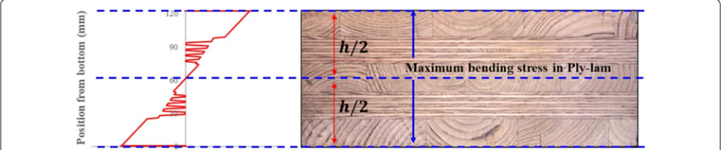 Fig. 3  Bending stress distribution to predict moment capacity of Ply‑lam
