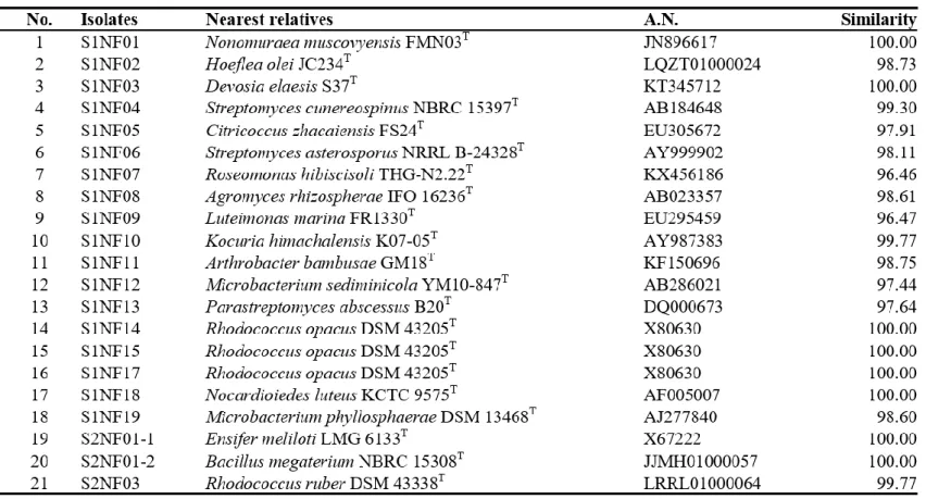 Table 3. Isolates from N2F agar. 