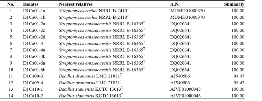 Table 4. Isolates from PVK agar.