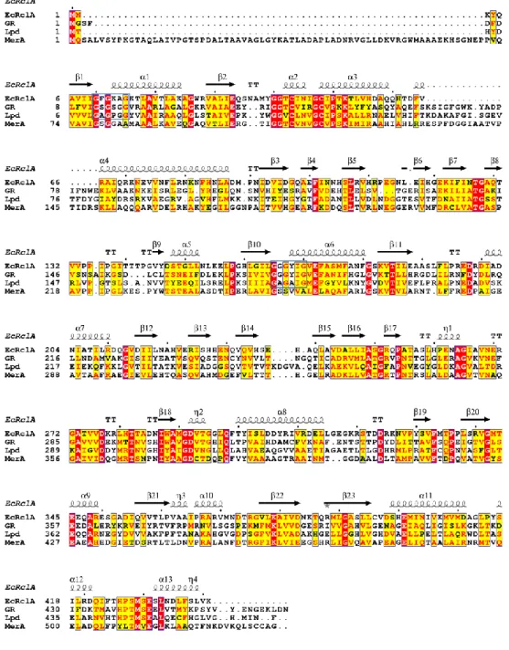 Figure  2.  Full  sequence  alignment  of  EcRclA  and  representative  FDR  proteins with the secondary structure elements