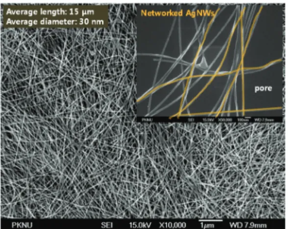 Fig. 1은 polyol법으로  합성된  은나노와이어 (silver  nanowires, AgNWs)의  전자현미경사진을  나타낸다.  그림에 서   보듯이  대략 30 nm의  직경을  가지는 AgNWs가  잘  성장 되었음을   알  수  있다