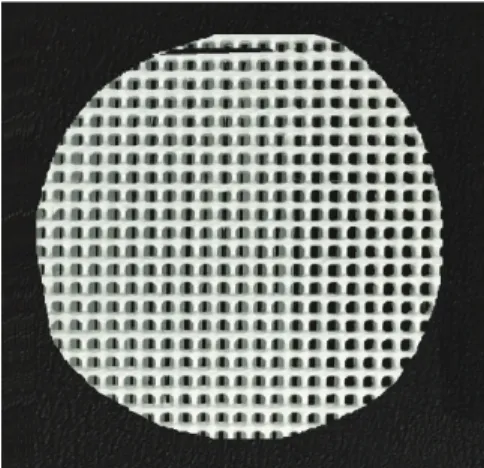 Fig. 2. Scaffold having regular size and shape. 