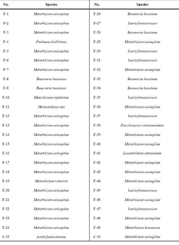 Table 1. List of entomopathogenic fungal strains used in this study. 