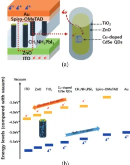Fig. 1. Schematic illustration (a) of the device architecture  based on ZnO/TiO 2  core-shell hybrid arrays with  Cu-doped CdSe quantum dots, (b) and energy band  diagram (work function of different layers)
