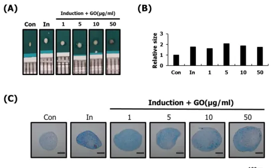 Figure 6. Optimization of concentration of GO effective in chondrogenic  differentiation  of  hASCs  Using  various  concentrations  of  GO,  the  chondrogenic  differentiation  of  hASCs  was  identified