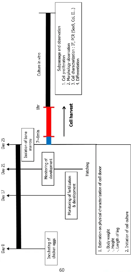 Figure 6. General experimental procedures. 