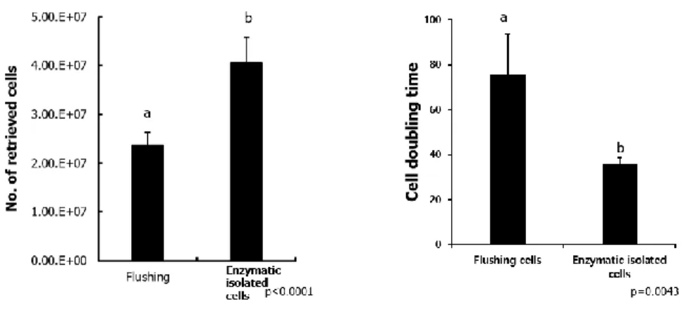 Figure  7.  Retrieved  cell  numbers  and  doubling  time  of  the  cells  that  isolated  by  mechanical  methods  and  enzymatic  methods