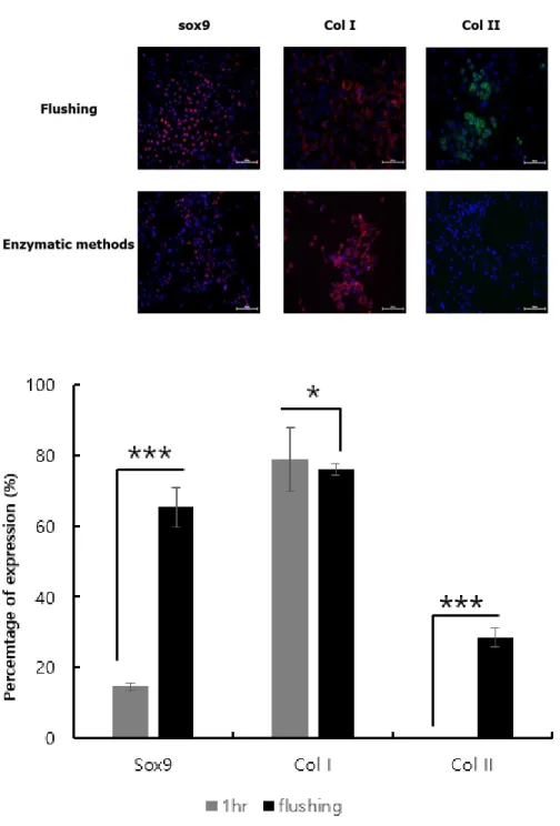 Figure  11.  Cell  surface  marker  levels  of  Sox9,  Col  I  and  Col  II.  Sox9 and ColⅡ  surface marker expression level is much higher  in mechanically isolated cells of passage 2