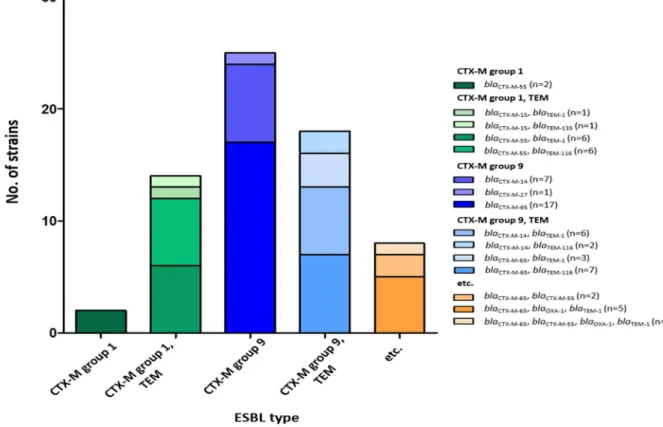 Fig. 2.1. Prevalence of ESBL genes in different ESBL type