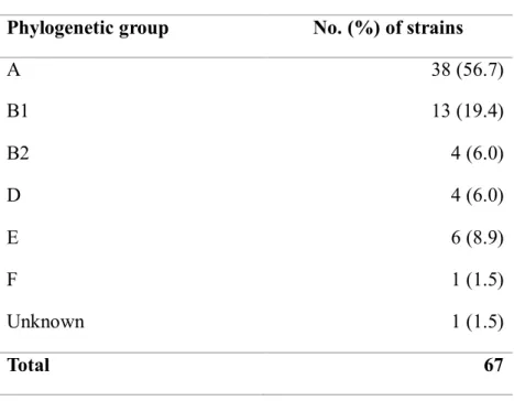 Table  2.4. Phylogenetic  group  of  ESBL-producing  E.  coli isolates  from 